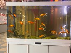 -九田家黑牛烤肉料理(长春路友好店)