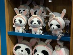 -熊猫屋(宽窄巷子景区店)