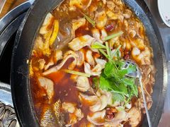 -都江堰石锅鱼
