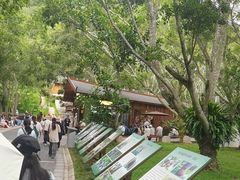 -野象谷景区