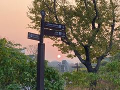 -王借岗森林公园