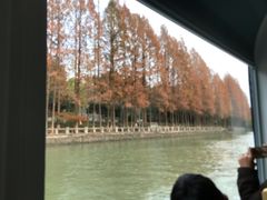 -运河游船(武林门码头)