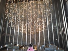-桃花源中餐厅(金茂豪华精选酒店)