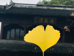 -汇龙潭