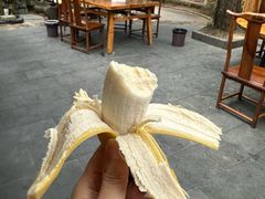 -小小饭店·休闲农庄·安吉松树林里的农家菜