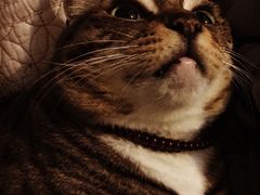 -兄弟深夜豆浆