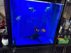 -晟茗荟茶楼·掼蛋·棋牌(北玉大厦店)