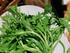 -蒙都43°9羊火锅·赤峰美食(宁城店)