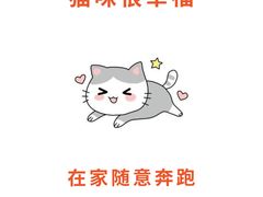 -lincat·猫舍(广州店)
