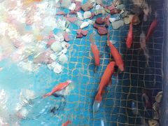 -水晶之星洗浴温泉汗蒸