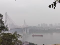 -大渡口区义渡公园