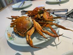-绿岛港轩海鲜烤肉涮锅自助餐厅
