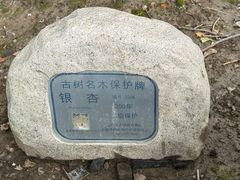 -上海青龙寺