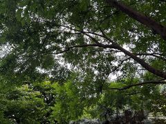 -上海瑞金洲际酒店