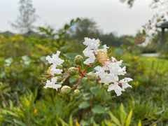 -白塘生态植物园