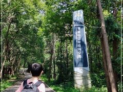 -青龙山国家森林公园