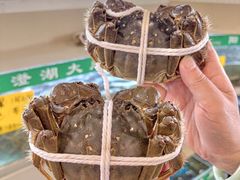 -品鲜村农家菜·阳澄湖大闸蟹(总店)