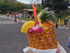 -钻石头山