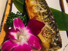 -酒井酱子·深夜食堂(东城汇店)
