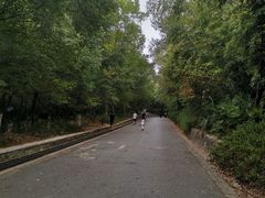 -大蜀山国家森林公园