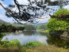 -庐山风景区花径公园