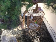 -小厨娘淮扬菜(六合欢乐港店)