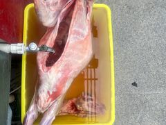 -郭记原生态烤羊腿(长宁路店)