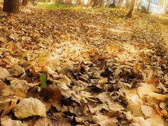 -本溪老边沟风景区