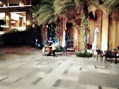-海南椰子鸡餐厅(三亚湾红树林店)