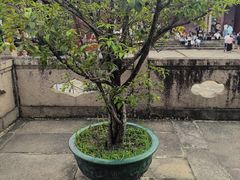 -揭阳学宫(榕城区)