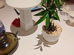 -上座云间·青年赣菜(绿茵店)