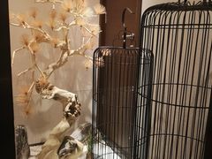 -悦融·京鲁菜·露台花园(安定门店)