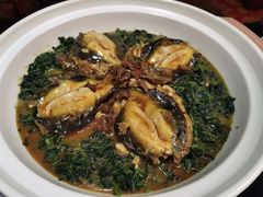 -孔庆璞河豚馆(白玉兰酒店)