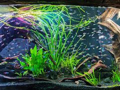 -上海海洋水族馆