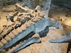 -自贡恐龙博物馆