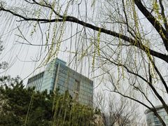 -微软亚太研发集团大厦(微软总部)