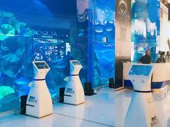 -迪拜水族馆及水下动物园