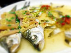 -梁溪河畔·吉府花园(南长街南下塘店)