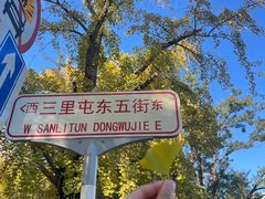 -三里屯东五街银杏大道
