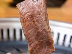 -韩红石板肉(范西路店)