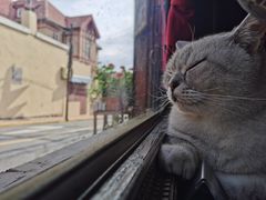 -不舍昼夜咖啡馆