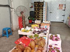 -大连果菜批发市场