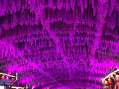 -婺源梦里老家大型山水实景演出