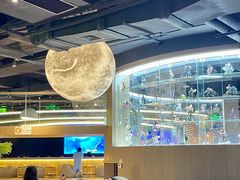 -皇室假期美食水疗会(春风路店)