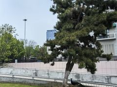 -武汉园博园(武汉自然博物馆)