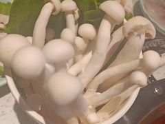 -卤教授老火锅