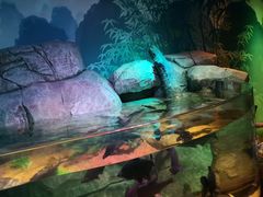 -沈阳海洋探索中心