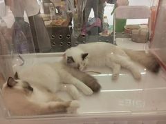 -吾悦广场(南京鼓楼店)