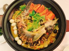 -饭怕鱼·黄焖鲟龙鱼(湖大店)