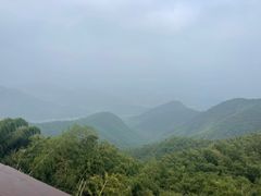 -莫干山风景区